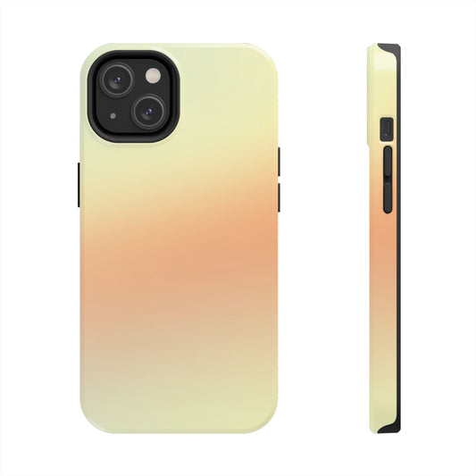 Ombrè Phone Case